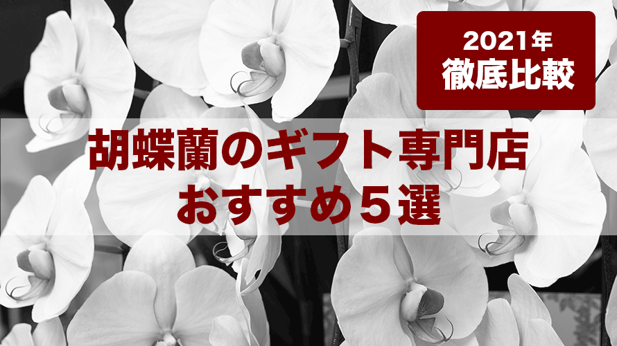 【2022年・徹底比較】胡蝶蘭のおすすめ人気ランキング